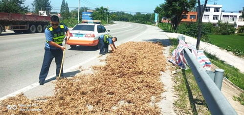 維護(hù)公路運(yùn)行安全 天門開展路域環(huán)境綜合整治行動(dòng)